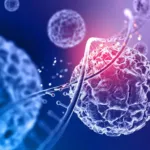 Cancer de la prostate : comprendre, dépister et traiter